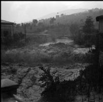 [Ritratti, 25 agosto 1949