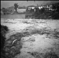 [Ritratti, 25 agosto 1949