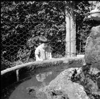 [Ritratti, agosto 1949