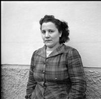 [Automobile incidentata ; Bambini ; Ritratto di giovane donna : 15 dicembre 1949