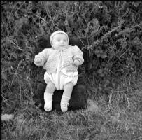 [Bambini ; Giovane donna in campagna ; Gruppo di persone davanti all'ingresso di una sartoria : 22 giugno 1949
