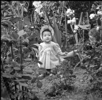 [Bambini in un giardino : 17-20 luglio 1949