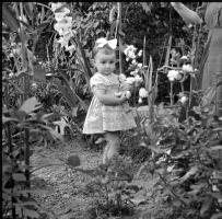 [Bambini in un giardino : 17-20 luglio 1949