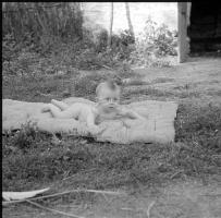 [Bambini in un giardino : 17-20 luglio 1949