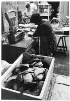 Aspetti della passeggiata con negozi ecc., mercato del pesce, festa folkloristica, L'altro mondo