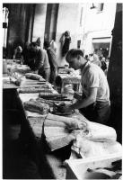 Aspetti della passeggiata con negozi ecc., mercato del pesce, festa folkloristica, L'altro mondo