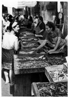 Aspetti della passeggiata con negozi ecc., mercato del pesce, festa folkloristica, L'altro mondo