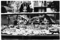 Aspetti della passeggiata con negozi ecc., mercato del pesce, festa folkloristica, L'altro mondo