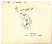 Aspetti della passeggiata con negozi ecc., mercato del pesce, festa folkloristica, L'altro mondo