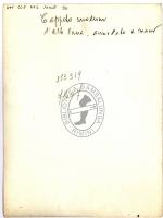 Aspetti della passeggiata con negozi ecc., mercato del pesce, festa folkloristica, L'altro mondo