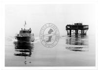 Aspetti della passeggiata con negozi ecc., mercato del pesce, festa folkloristica, L'altro mondo