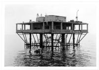 Aspetti della passeggiata con negozi ecc., mercato del pesce, festa folkloristica, L'altro mondo