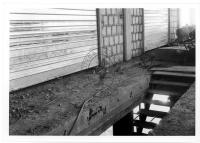 Aspetti della passeggiata con negozi ecc., mercato del pesce, festa folkloristica, L'altro mondo