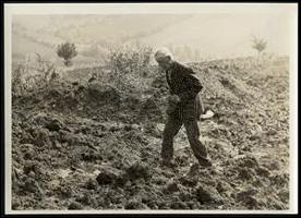[Scavi archeologici : Verucchio, località Doccio, podere Moroni : 11 settembre 1969]